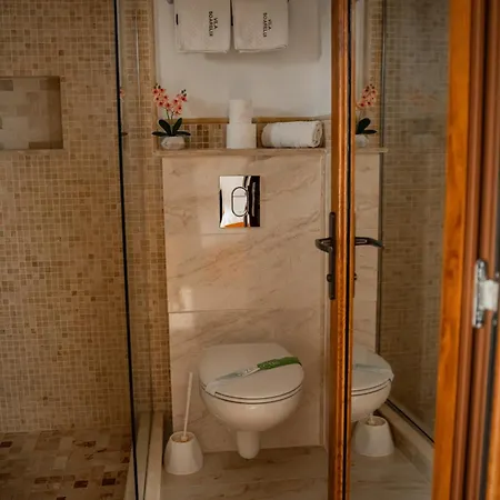 Guest house Casa Soarelui 3*