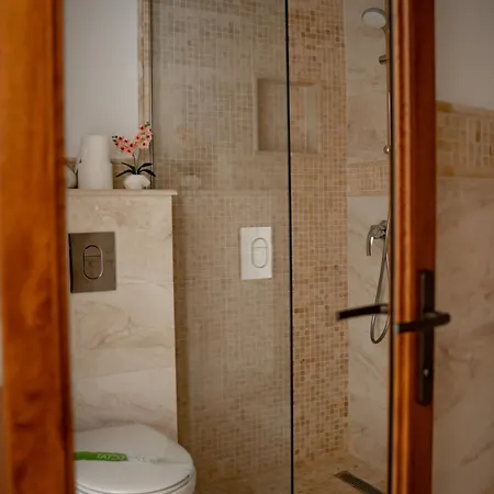 Casa Soarelui Guest house