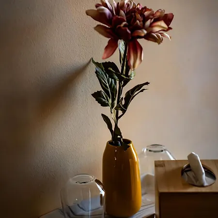 Casa Soarelui Guest house 2 Mai