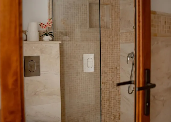 Casa Soarelui Guest house